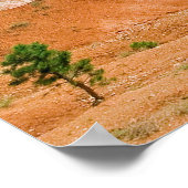 Thors Hammer Formation Bryce Canyon National Park Poster (Hoek)