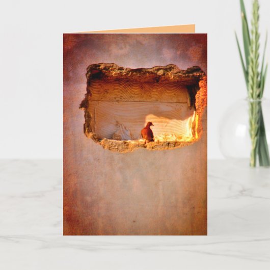 Thoughtful Dove Kaart (Voorkant)