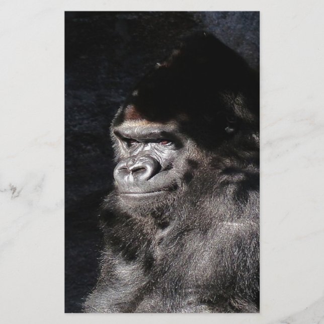 Thoughtful Gorilla (Voorkant)