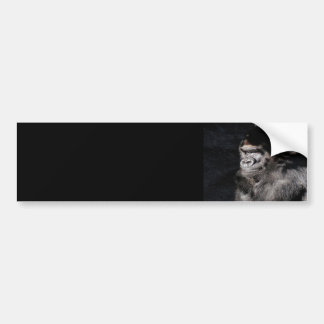 Thoughtful Gorilla Bumpersticker