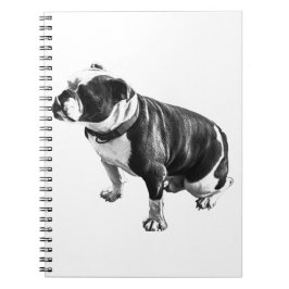 Thoughts Can Take Their Time Notitieboek