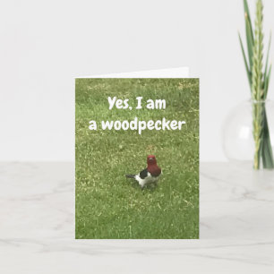 **THOUHTFUL WOODPECKER ZEGT GEWELDIGE BIRTHDAY* KA KAART
