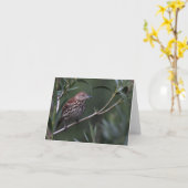 Thrasher Brown - Joe Sweeney - carte (Fleur jaune)