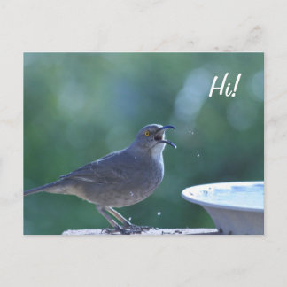 Thrasher Splasher Briefkaart