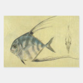 Threadfin Trevally, Afrikaanse Pompano vis Inpakpapier Vel (Voorkant 3)