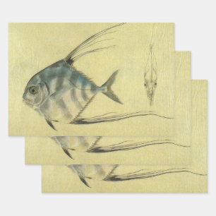  Threadfin Trevally, Afrikaanse Pompano vis Inpakpapier Vel