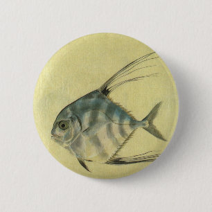  Threadfin Trevally, Afrikaanse Pompano vis Ronde Button 5,7 Cm