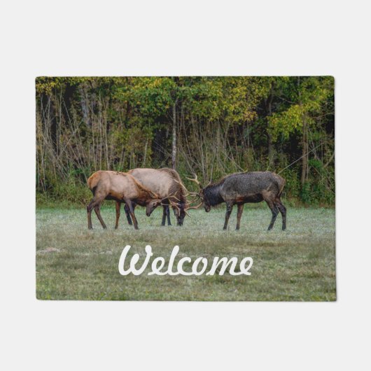 Three Bull Elk Welkom Doormat Deurmat (Voorkant)
