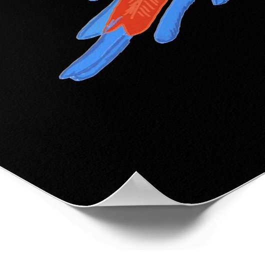 Three Flying Macaws Hand Drawn Poster (Coin)