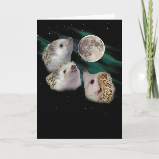 Three Hedgehog Moon Wenskaart Kaart (Voorkant)