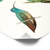 Three Hummingbirds  Foto Afdruk (Hoek)