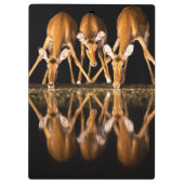 Three Impala Drink Together at Night Klembord (Achterkant)