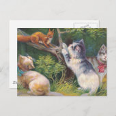 "Three Kittens and a Squirrel" Briefkaart (Voorkant / Achterkant)