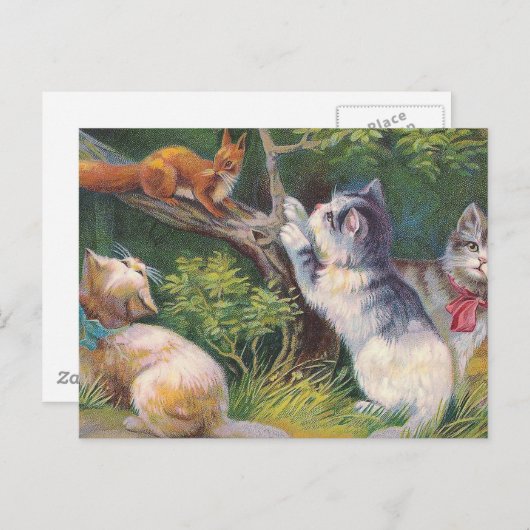 "Three Kittens and a Squirrel" Briefkaart (Voorkant / Achterkant)