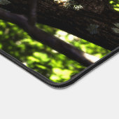 Three Little Birds (Coin)