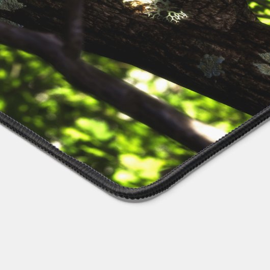 Three Little Birds (Coin)