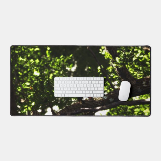 Three Little Birds (Clavier et souris)