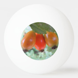 Three orange rosehips pingpongballen