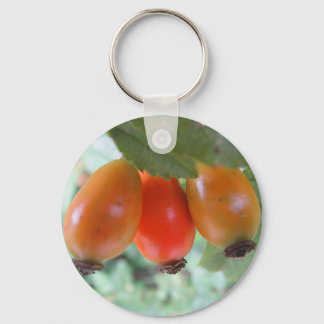 Three orange rosehips sleutelhanger