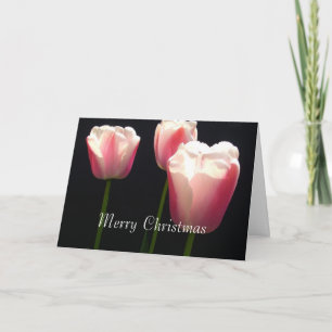 Three pink tulip flowers. Christmas, folidays. Feestdagen Kaart