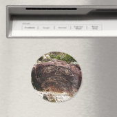 Three Rivers Petroglyph Magneet (Insitu (Vaatwasser))