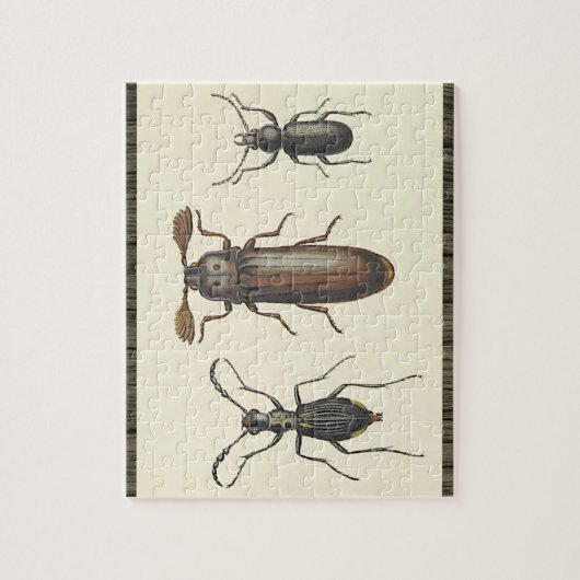 Three Side-By-Side Insects Puzzle (Vertical)