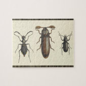 Three Side-By-Side Insects Puzzle Legpuzzel (Horizontaal)