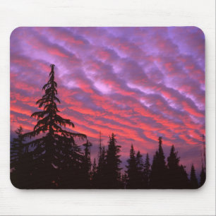 Three Sisters Wilderness, Oregon Muismat