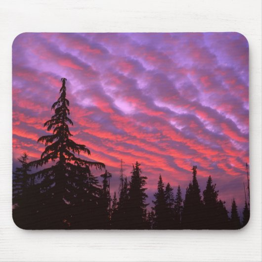 Three Sisters Wilderness, Oregon Muismat (Voorkant)