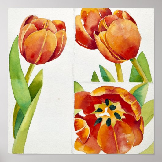 Three tulip studies in a sure 2013 poster (Voorkant)