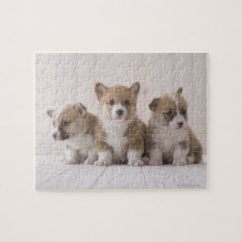 Three Welsh Corgi Legpuzzel