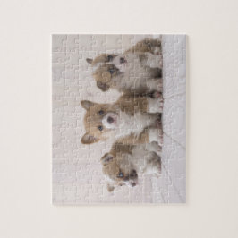 Three Welsh Corgi Legpuzzel