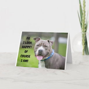 *THRILLED DOG ZENDT CONGRATULATIE AAN U* KAART