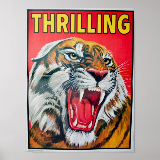 Thrilling Tiger Poster (Voorkant)
