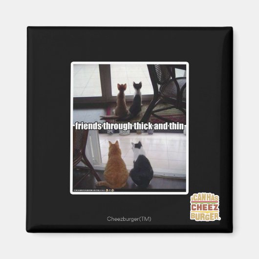 Through thick and thin magneet (Voorkant)