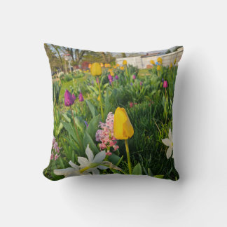 Throw Pillow Kussen