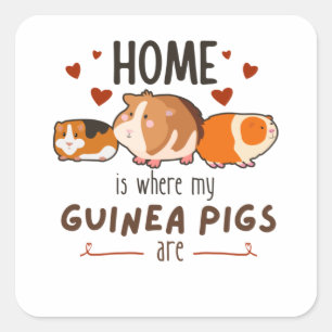 Thuis is de plaats waar de varkens in Mijn Guinee Vierkante Sticker