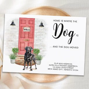 Thuis is waar de hond is dat we de hond hebben ver aankondiging