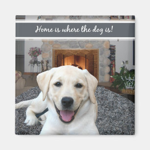 Thuis is waar de hond is magneet