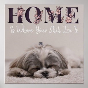 Thuis Is Waar Jouw Shih Tzu Is Poster