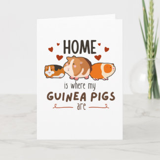 Thuis Is Waar Mijn Cavia's Zijn Kaart