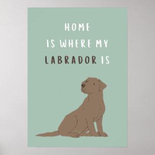 Thuis is waar mijn labrador Poster is