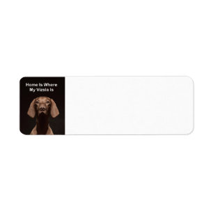 Thuis is waar mijn Vizsla is Etiket