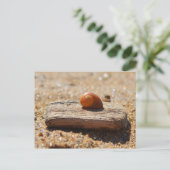 Thuis op de strand briefkaart (Staand voorkant)