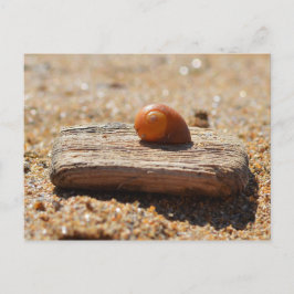 Thuis op de strand briefkaart