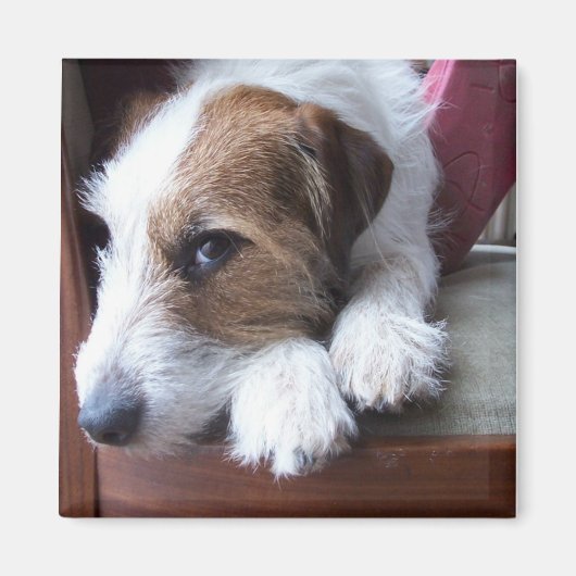 Thuis op zondag magneet (Voorkant)