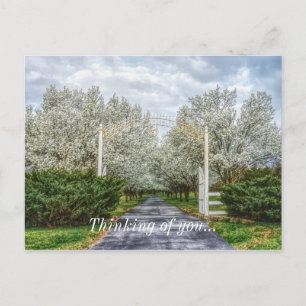 Thuisdenken van je lente drive briefkaart