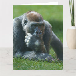 Thumb Sucking Gorilla Bedankkaart