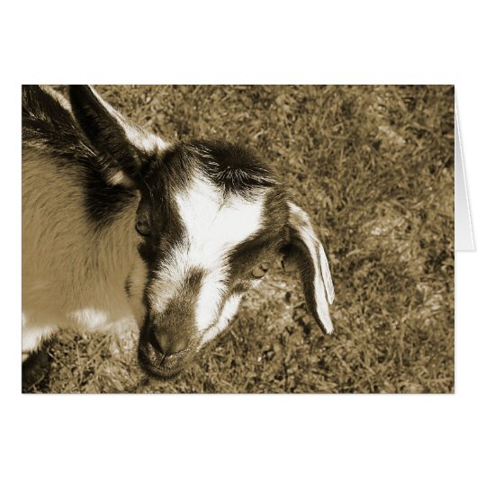 Thumblina (Voorkant Horizontaal)