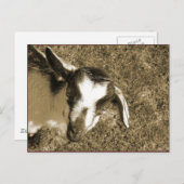 Thumblina Briefkaart (Voorkant / Achterkant)